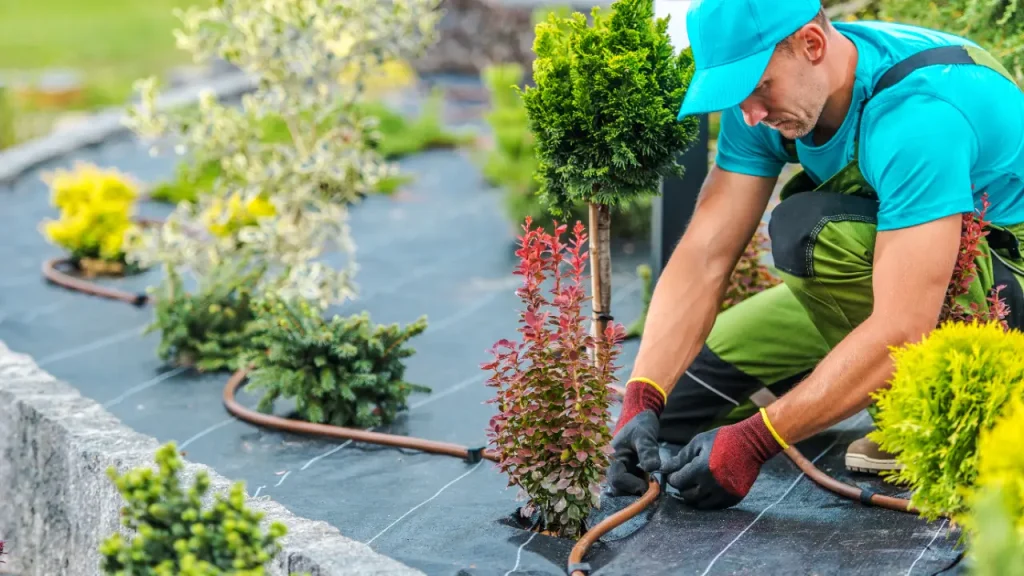 tree and garden services