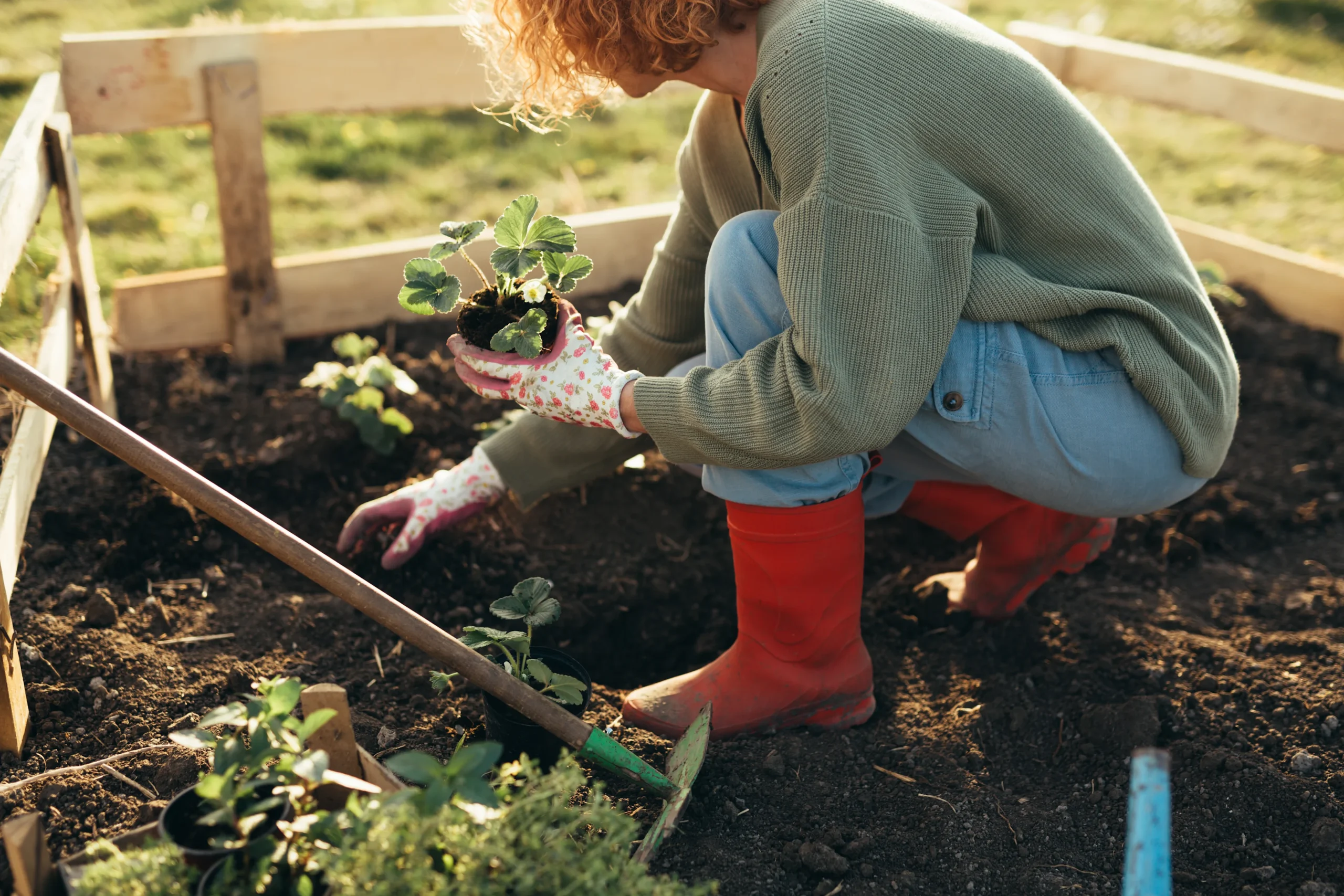 garden services centurion