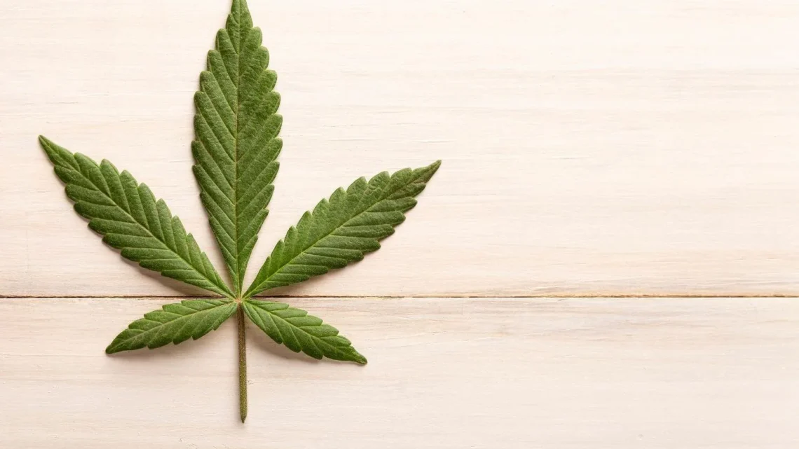 Refreshing THC Drinks for Stress-Free Evenings