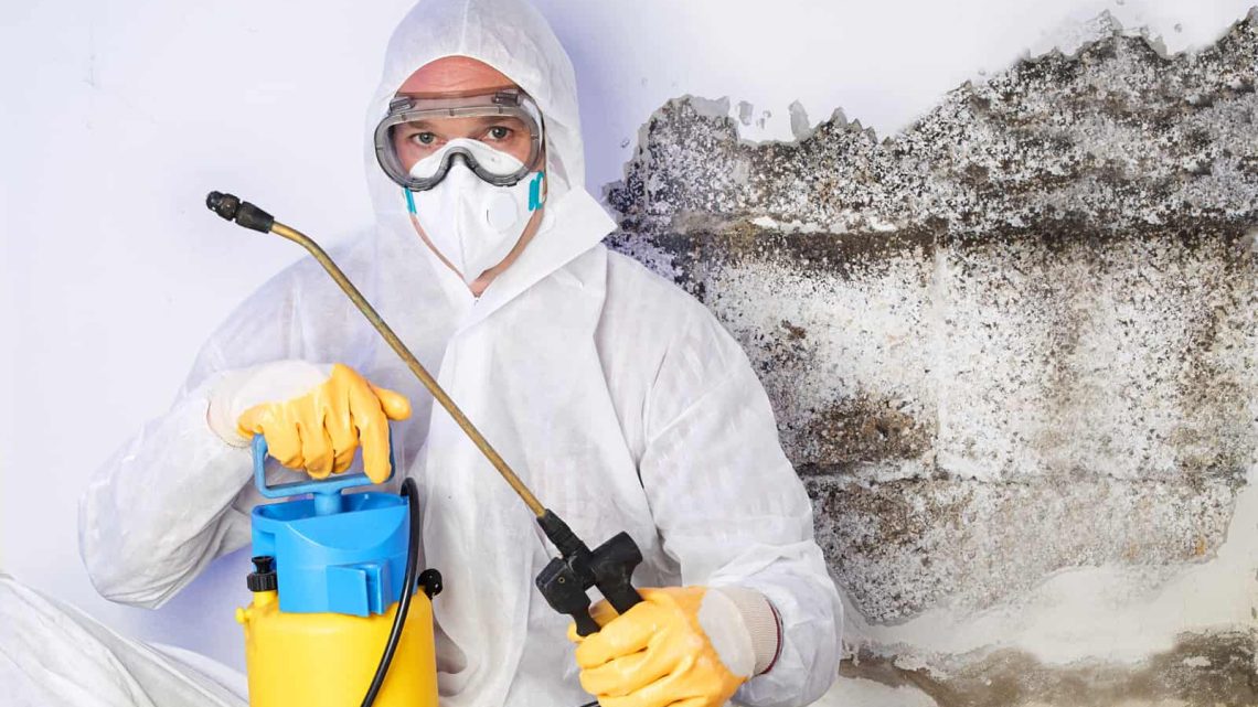 Why Timely Property Evaluations Protect Home Value